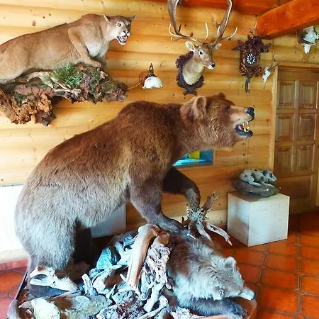 Gæstehus Grizzly