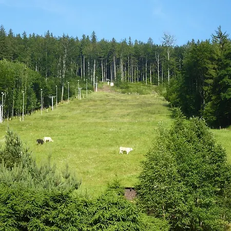 Gæstehus Grizzly 3*