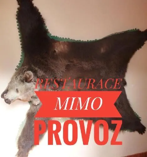 Grizzly Pensionat