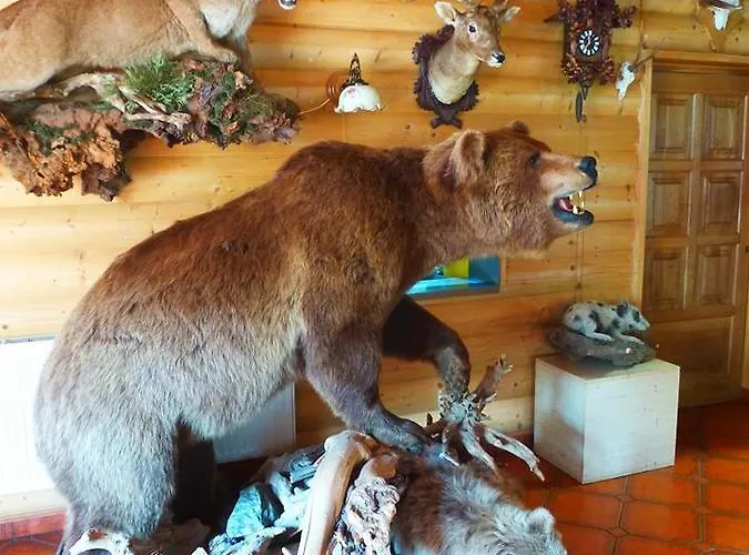 Pensionat Grizzly
