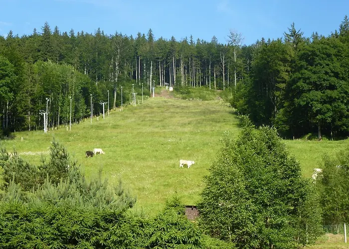 Gasthuis Grizzly 3*